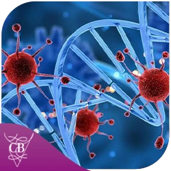 Tratamento de HPV, biópsias e colposcopia